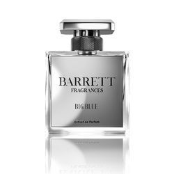 Big Blue Inspired by BDC Parfum
