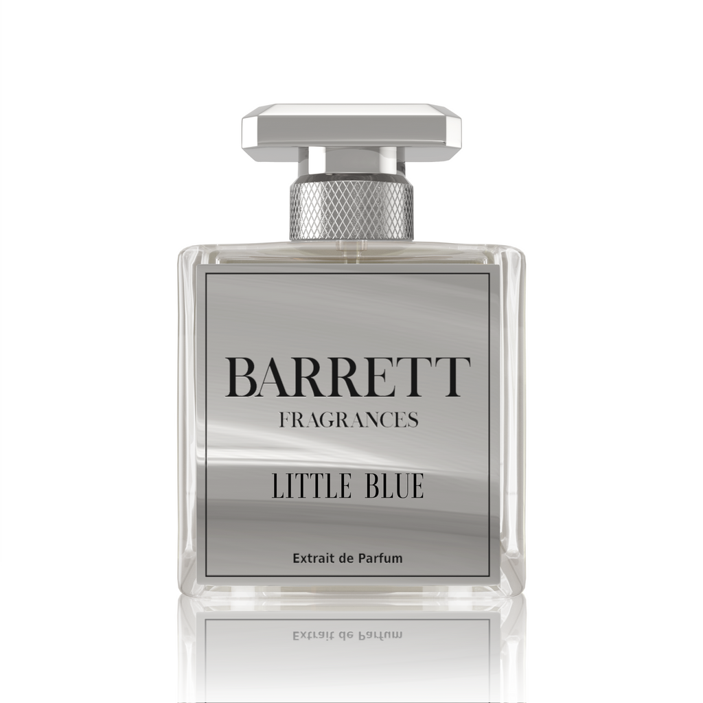 LITTLEBLUE_1024x1024.png?v=