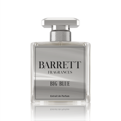 Big Blue Inspired by BDC Parfum